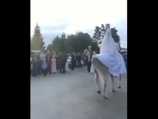 Во Владикавказе невеста на коне станцевала свадебный танец