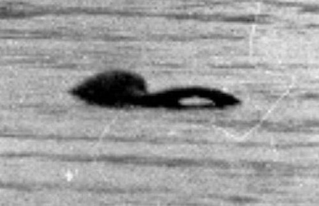 Изучение кинопленки Тима Динсдейла от 23 апреля 1960 года позволило сделать осторожный вывод, что объект был живым и двигался с максимальной скоростью 15 км в час. 