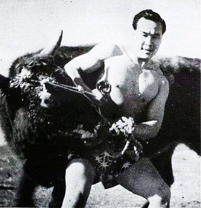 Масутацу Ояма также прославился тем, что голыми руками дрался с разъяренными быками и мог свалить их всего одним ударом.