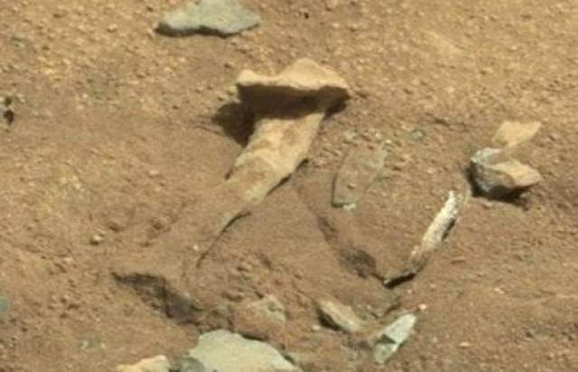 На Марсе был сфотографирован камень в форме кости  В 2014 любопытные наблюдатели и проницательные интернет-пользователи идентифицировали "бедренную кость" на изображениях с марсохода НАСА. Это один из последних странных объектов, обнаруженных на фотографиях с Марса, и как это обычно происходит в этих случаях, логическое объяснение должно все же быть дано NASA. Хотя это может быть просто камень, а люди просто хотели увидеть в нем что-то земное и поэтому увидели. 