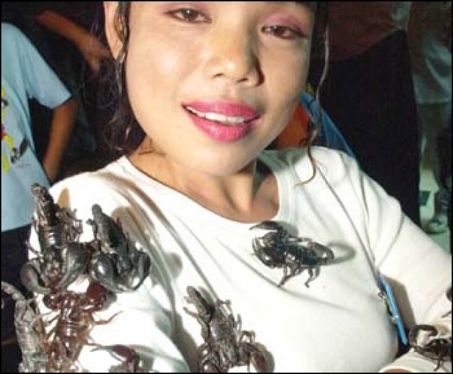 33 дня провела 39-летняя Канджана Гедкаи (Таиланд) в стеклянной комнате в обществе 5000 ядовитых скорпионов, развеяв миф о женской трусливости (2009 год).