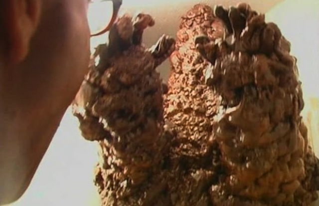 Джек Шмидт из фильма "Монстард" (2003). Сбежавший от полиции серийный убийца попадает в тоннель, в котором мутирует под воздействием химикатов и превращается в то, что вы видите.