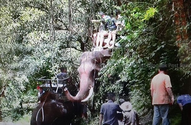 По сообщению Bangkokpost , 30-летний слон Плай Сомьяй восстал против погонщика: сначала он ударил острыми бивнями в шею и грудь 40-летнего владельца, после чего побежал в лес, не учитывая, что на спине у него сидела семья из Китая.