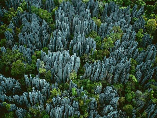 Похожий каменный лес есть и на Мадагаскаре.