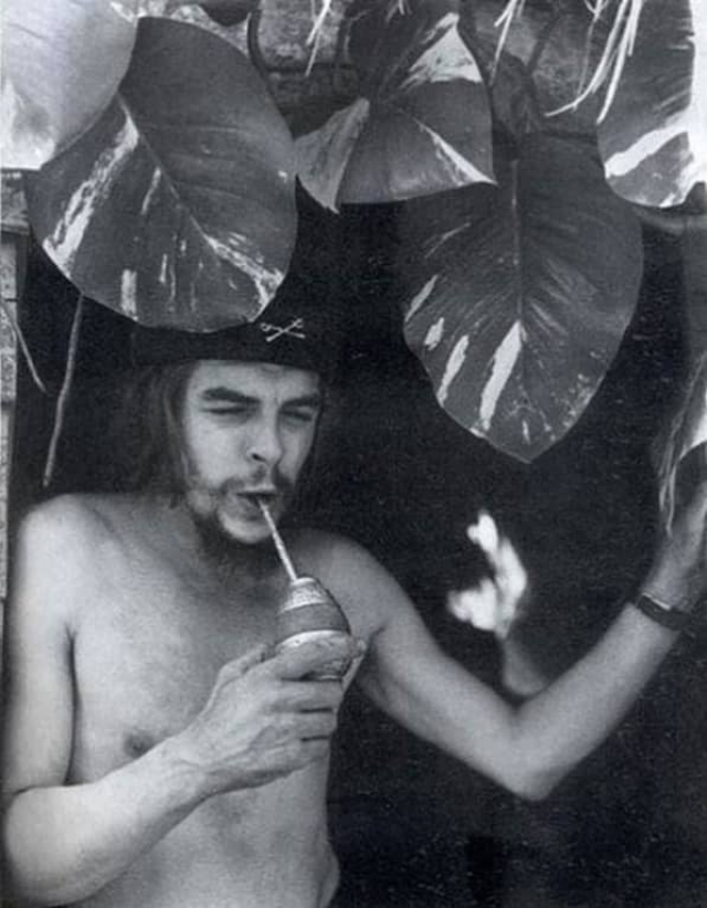 Эрнесто Че Гевара пьет напиток мате через трубочку-бомбилью