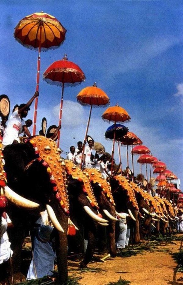 Трагедия с участием слона произошла на юге Индии и несколько лет назад:  потерявший самообладание слон убил и покалечил 25 человек во время религиозного фестиваля в городе Четтува…