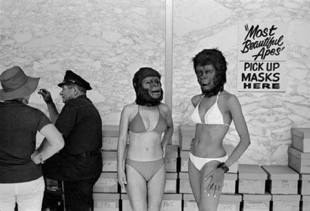 Самое странное то, как проводился конкурс: участницам на голову надевались маски животных, и затем жюри пыталось вычислить самую красивую обезьяну. 