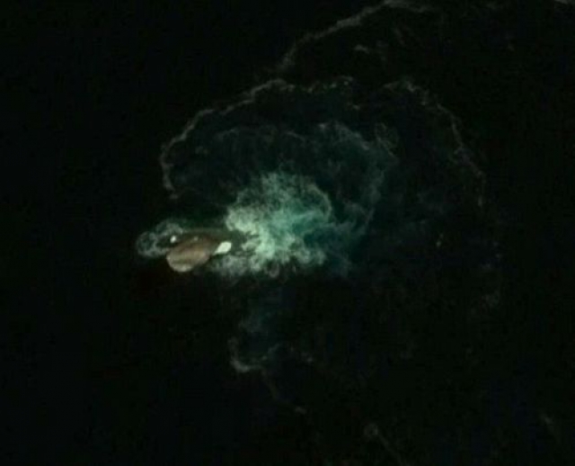 А это неизвестное 120-метровое существо было обнаружено на картах Google.