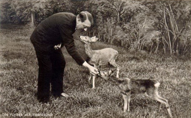 После прихода к власти в январе 1933 года, нацистская партия приняла широкий набор законов о защите животных. Гитлер считал, что в новом Рейхе не будет никогда жестокого обращения с животными.