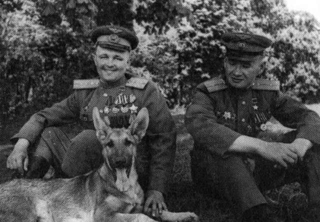 Во время Второй мировой войны большую помощь советским саперам оказывали дрессированные собаки. Пес по кличке Джульбарс за последний год войны нашел 7468 мин и более 150 снарядов. Незадолго до Парада Победы Джульбарс был ранен и не мог пройти в строю, но сам Сталин приказал нести его по Красной площади на собственной шинели.