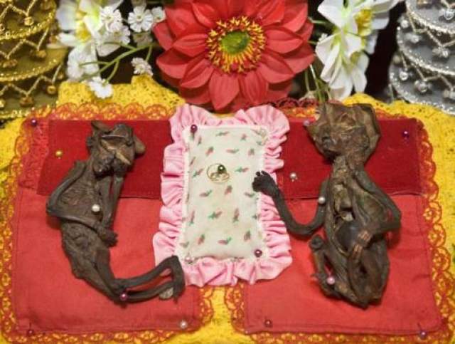 Таинственные существа в буддийском храме  Мумии фей Нарт Пан, хранящиеся в зразе Wat Phrapangmuni Temple, неподалеку от Син Бури, к северу от Бангкока, Тайланд. Тела двух неизвестных существ хранят в стеклянной раке, находящейся в здании храма. Верующие уверяют, что это - тела фей, существ из буддисткой мифологии. В одном из мифов рассказывается о волшебном дереве, которое вместо плодов приносило крошечных существ женского пола, обладающих волшебной силой. 