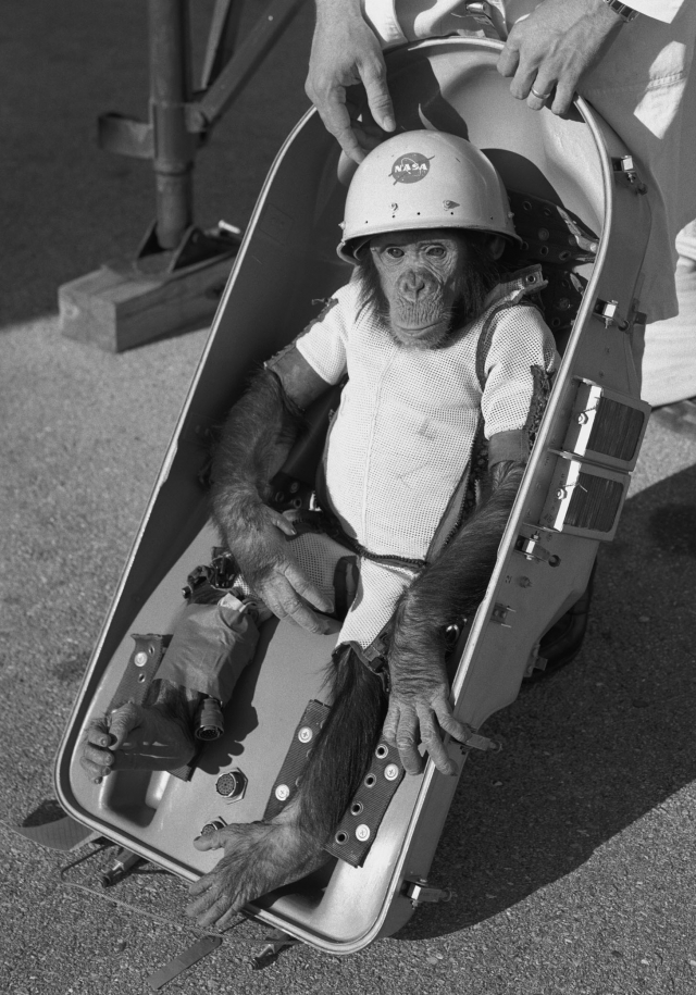 Полет Хэма был предпоследней репетицией перед первым суборбитальным полетом американского астронавта в космос.