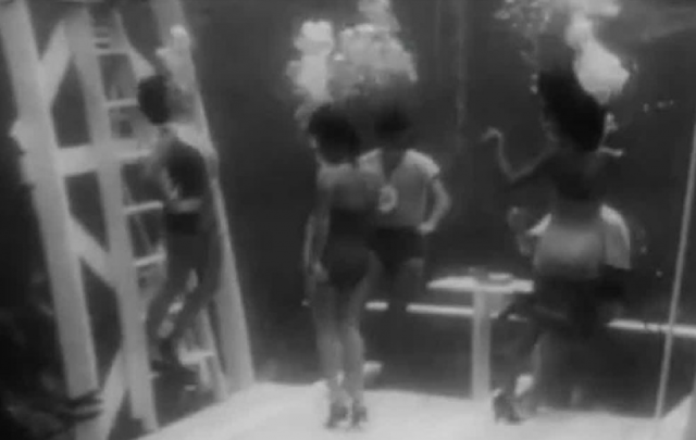 Конкурс красоты под водой. В 1949 году в городе Вики Уочи Спрингз, Флорида состоялся первый, да и, наверное, последний, конкурс красоты под водой. Он был организован местным парком водных развлечений в качестве рекламной акции.