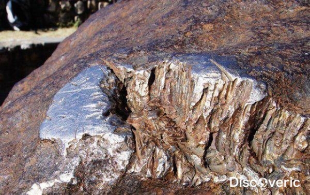 Поверхность метеорита — железо без всяких примесей: цельного куска железа природного происхождения таких размеров больше на Земле нет.