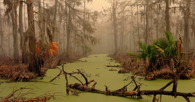 Болота Манчак, Луизиана. Эти места неподалеку от Нью-Орлеана еще называют "болотами призраков". Говорят, что болота прокляла королева вуду, когда ее взяли в плен в начале XX века, а в урагане 1915 года здесь исчезли три деревушки.