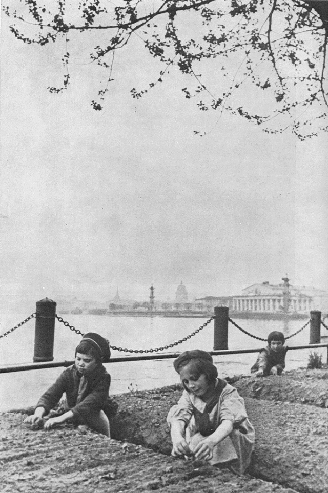 Дети блокадного Ленинграда у грядок на Мытнинской набережной.