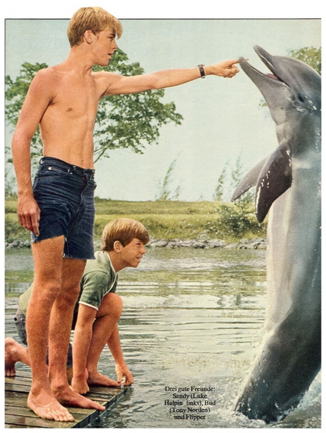 Дельфин Сьюзи - звезда оригинального фильма “Флиппер” 60-х годов.