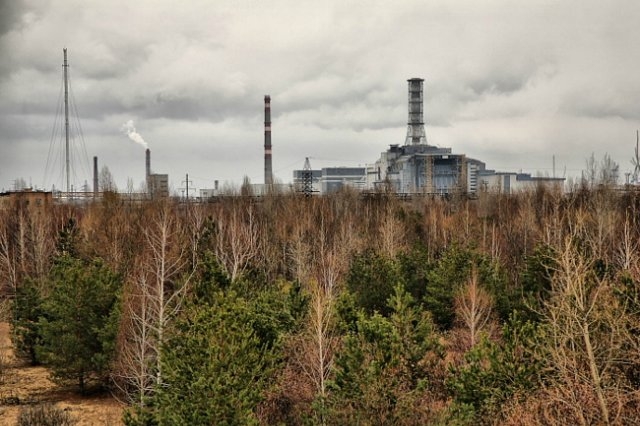Самая опасная зона в Чернобыле - так называемый Рыжий лес, на который выпало наибольшее количество радиоактивных осадков. Именно там наблюдались самые сильные мутации среди животного и растительного мира.