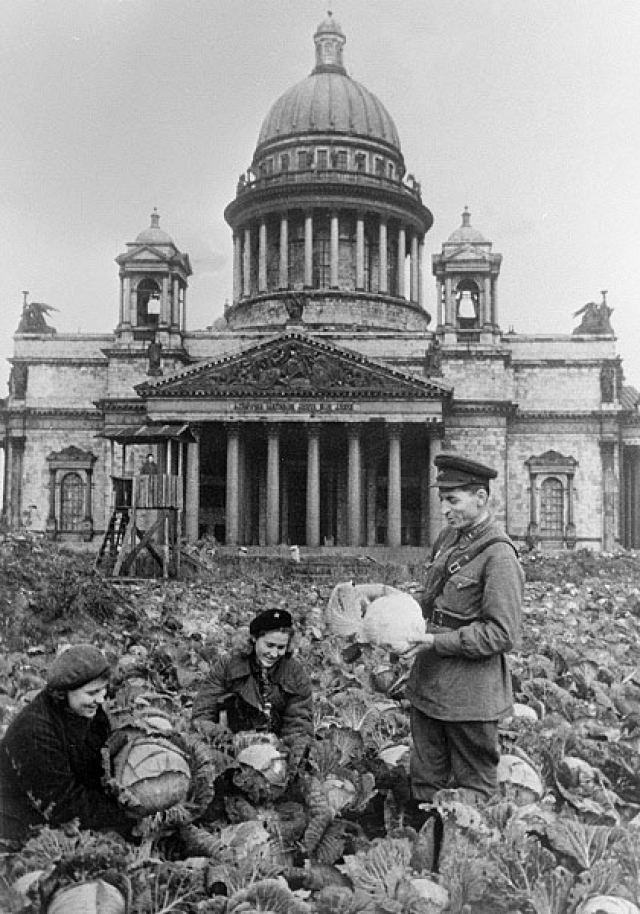Двое советских солдат и жительница блокадного Ленинграда убирают урожай капусты на огороде у Исаакиевского собора. 1 сентября 1942 года.