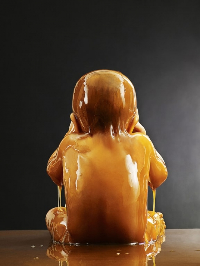 Фотограф пригласил в студию людей в возрасте от двух до 85 лет, которым предложил поучаствовать в эксперименте по обливанию медом.