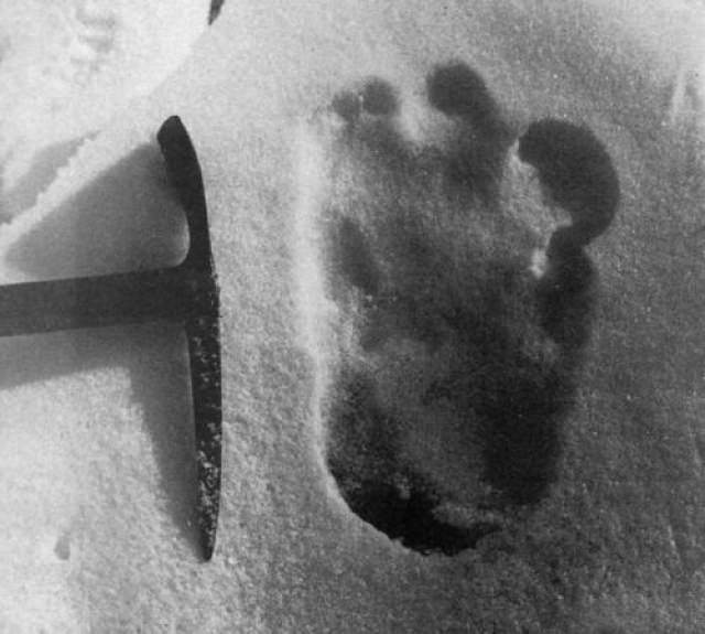 Эрик Шиптон в 195 году на леднике в Неаполе на высоте 5800 метров обнаружили отпечаток ноги йети. 