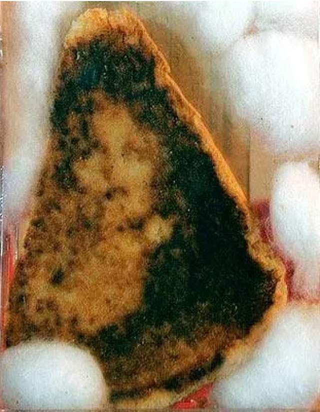 Жареный сэндвич с сыром. На нем якобы проявилось изображение Девы Марии. Блюдо продали за 28000$ в 2004 году. 