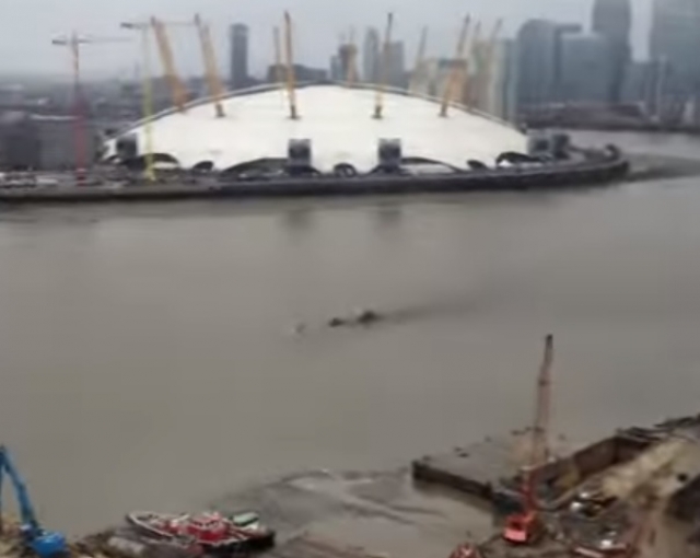 А в этом году похожее на Нэсси существо сняли на видео в Лондоне в водах Темзы .
