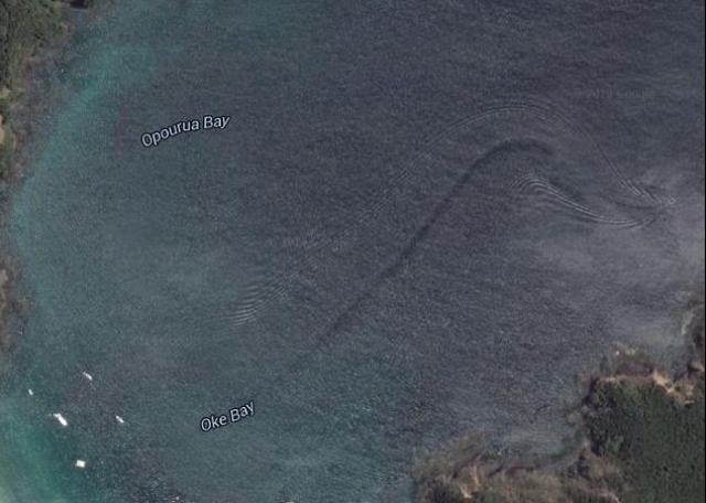 Морской монстр у побережья Новой Зеландии