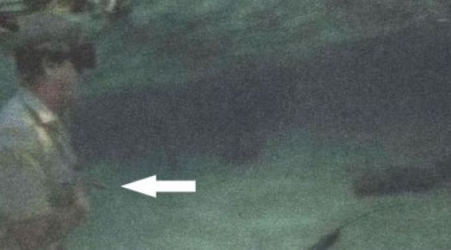 4 сентября 2006 года во время подводных съемок в районе Большого барьерного рифа его ударил в грудь шипохвостый скат.