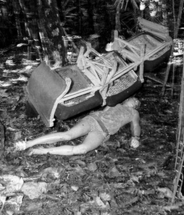 Воздушное судно упало прямо в Перуанские джунгли. После падения самолета Джулиана осталась пристегнутой в своем кресле. Она получила перелом ключицы и многочисленные порезы.