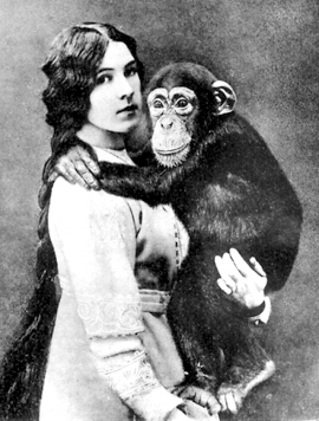 На основе наблюдений за Руди и Иони появилась книга "Дитя шимпанзе и дитя человека" – первое в мире сравнительное описание психики обезьяны и homo sapiens.