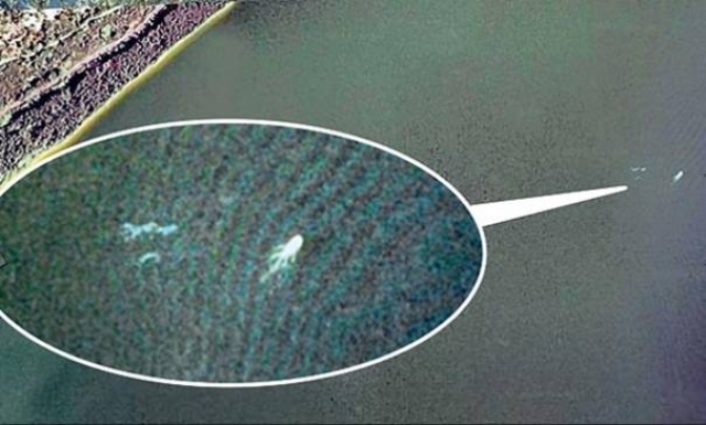 Летом 2009 года житель Великобритании заявил, что во время просмотра спутниковых фотографий на сайте Google Earth увидел искомое существо.  На фотографии сервиса действительно видно нечто, отдалённо напоминающее крупное морское животное с двумя парами ласт и хвостом. 
