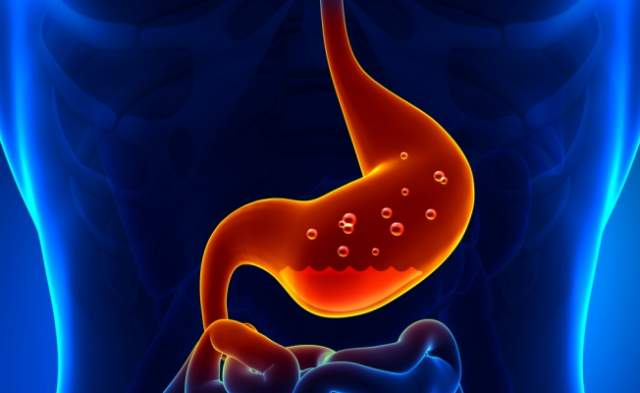 Желудочная кислота настолько едкая, что по факту каждые 3-4 дня в организме создается новая слизистая оболочка желудка. 