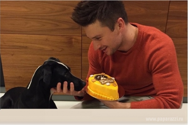 А вот Сергей Лазарев открыл собачью кондитерскую! Теперь каждый может порадовать любимца мясным тортиком в день рождения.