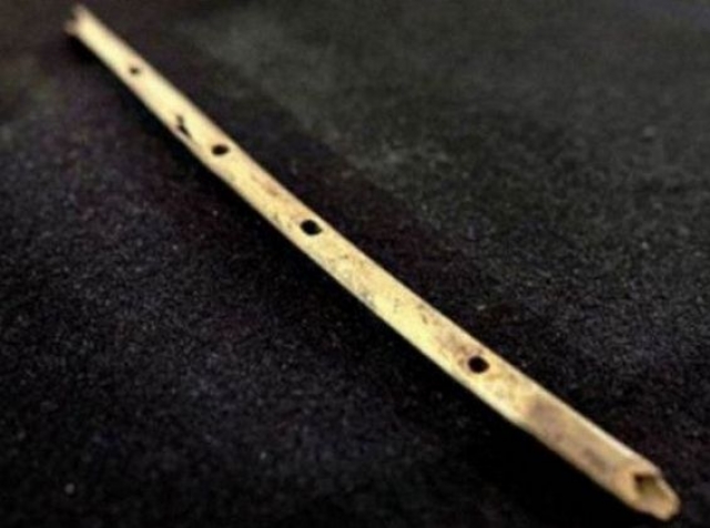 Флейта. Первой флейтой считается инструмент из кости, найденный в Германии и созданный 35 000 лет назад.