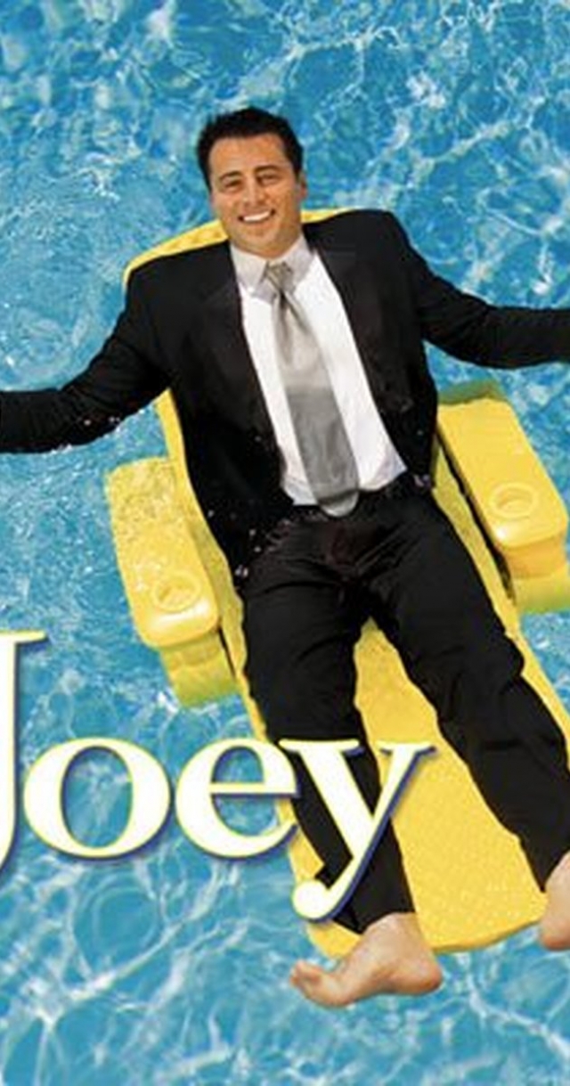 После “Друзей” Мэтт не смог покончить с образом Джоуи и принял участие в съемках одноименного сериала. После двух сезонов проект пришлось закрыть.