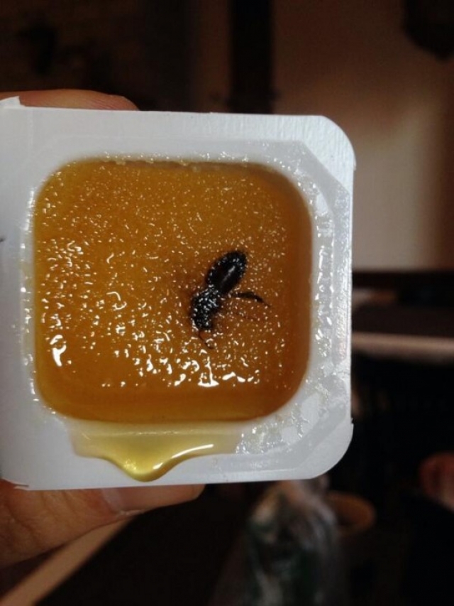 Как отмечает репортер ESPN Sports Даррен Ровелл, мед в России столь суров, что подается прямо вместе с пчелами.