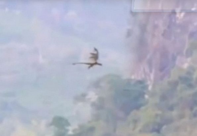 На кадрах, снятых над горным хребтом в Китае, многие рассмотрели силуэт летящего дракона. Пока скептики считают кадры поддельными, другие всерьез уверены в том, что на кадрах запечатлено мифическое существо.