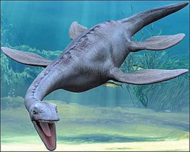 По словам ученых, это первая находка останков плезиозавтра- гигантского водяного ящера, жившего примерно 150 миллионов лет назад. 