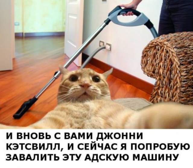 На некоторое время, до января 2014 года, никто не обращал внимания на Кэтсвилла, пока в Рунете не подхватили этот мем. 