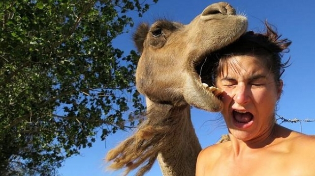 Интернет-пользователь по имени Джастин просто решил сделать селфи на фоне верблюда. В итоге - несколько швов и испуг.
