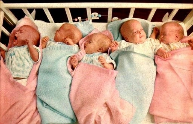Пятерняшки Кинаста (родившиеся 24 февраля 1970), являются первыми пятерняшками, появившимися на свет после лечения матери от бесплодия.