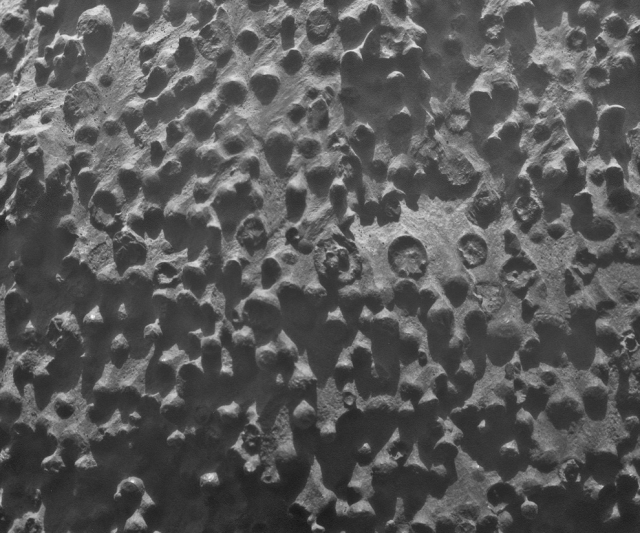 "Черника" - мелкие сферические вкрапления в марсианский грунт. Размеры шариков около 3 мм, они содержат большое количество красного железняка, который образуется в присутствии воды.