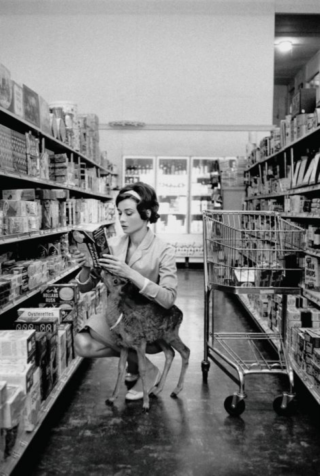 Одри Хепберн в супермаркете со своим домашним любимцем.
