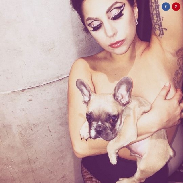 Леди Гага использовала в качестве цензуры собачку.