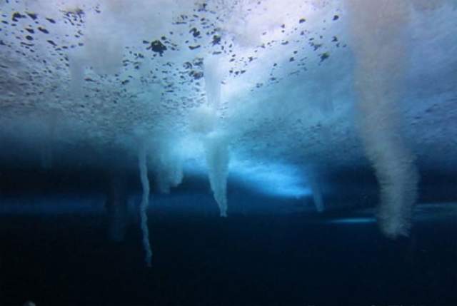 Brinicle, или "Ледяной палец смерти". Эти ледяные сталактиты возникают под водой во время полярной зимы, когда температура воздуха опускается ниже -18°C, а температура воды остается достаточно высокой, до -2°C. 