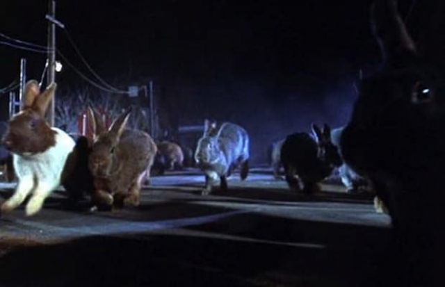 Кролики-мутанты из фильма "Ночь зайца" (1972). Гигантские кролики, набросившиеся на маленький американский городок, что может быть страшнее.