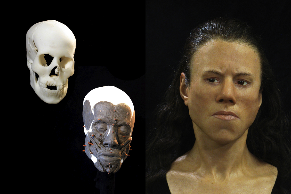 Насколько правдиво. Реконструкция внешности Джейн Говард. Реконструкция по черепу. Воссоздание лица по черепу.